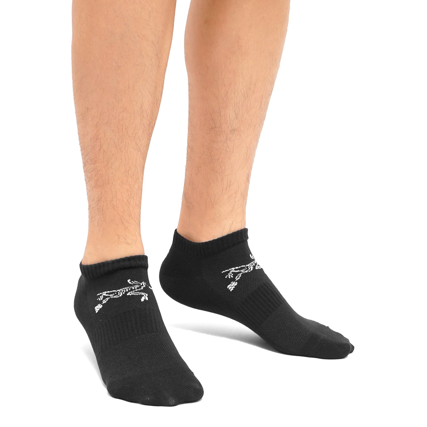 Arcteryx Merino Wool Lightweight Ankle Socks 3-Pair Pack