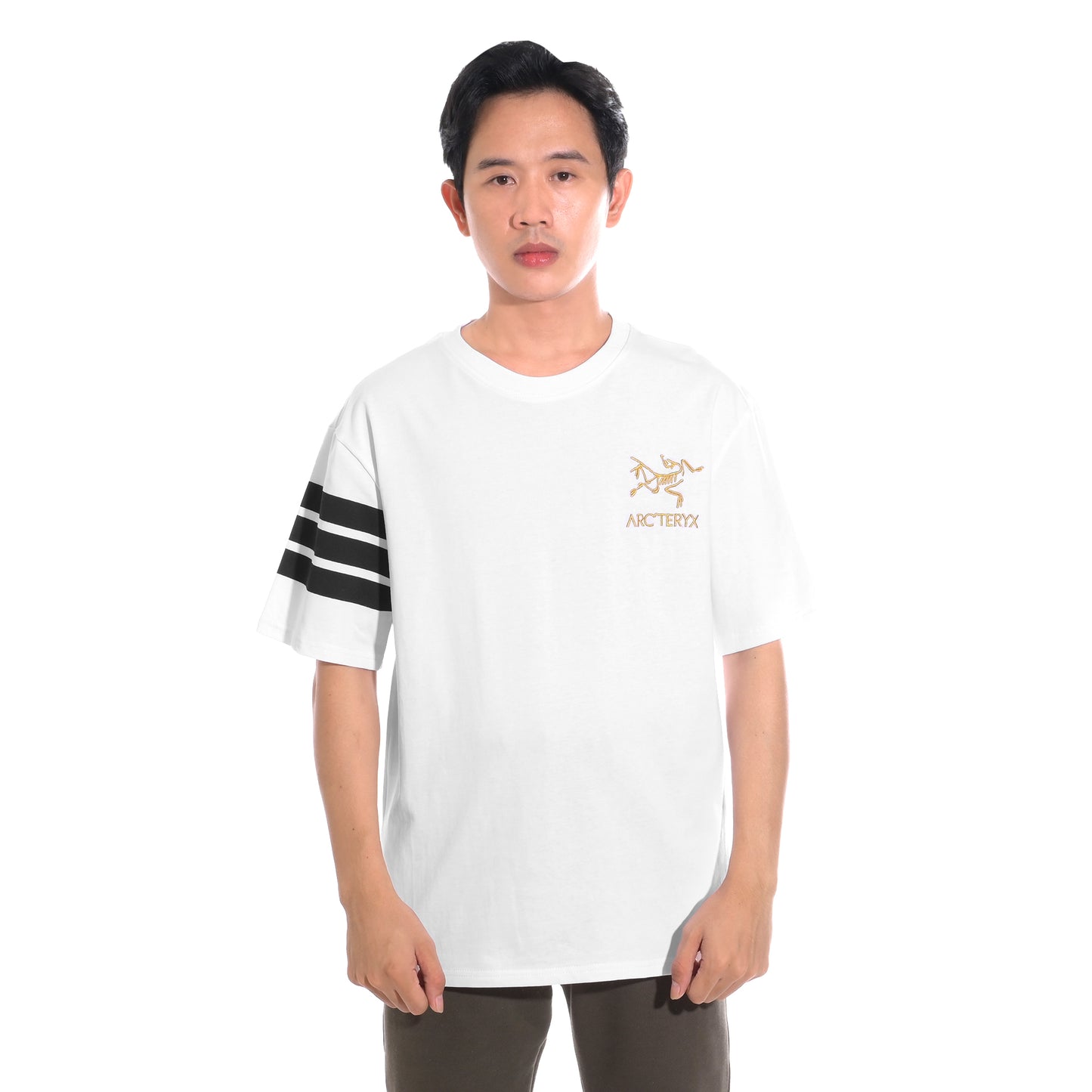 Arcteryx Stripes Sleeve T-Shirt
