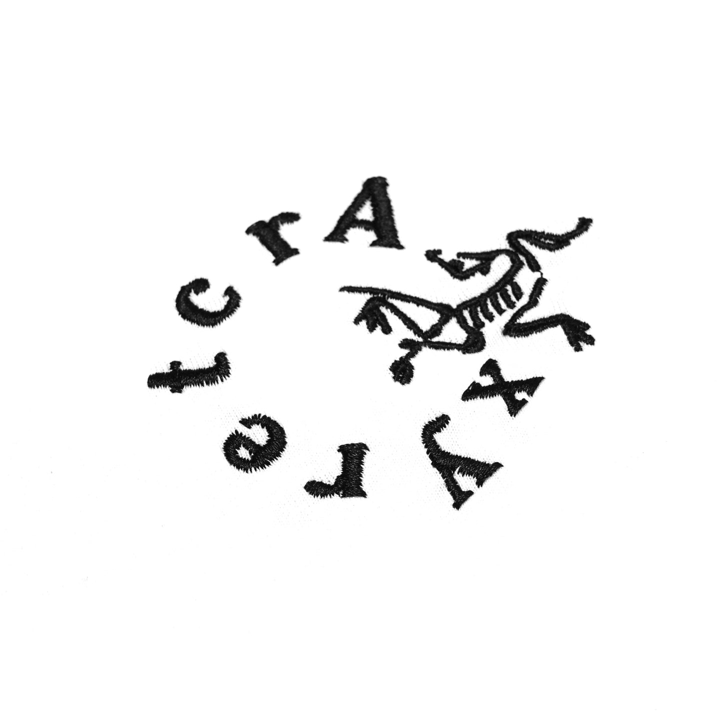 Arcteryx X Harsh and Cruel Graphic T-Shirt