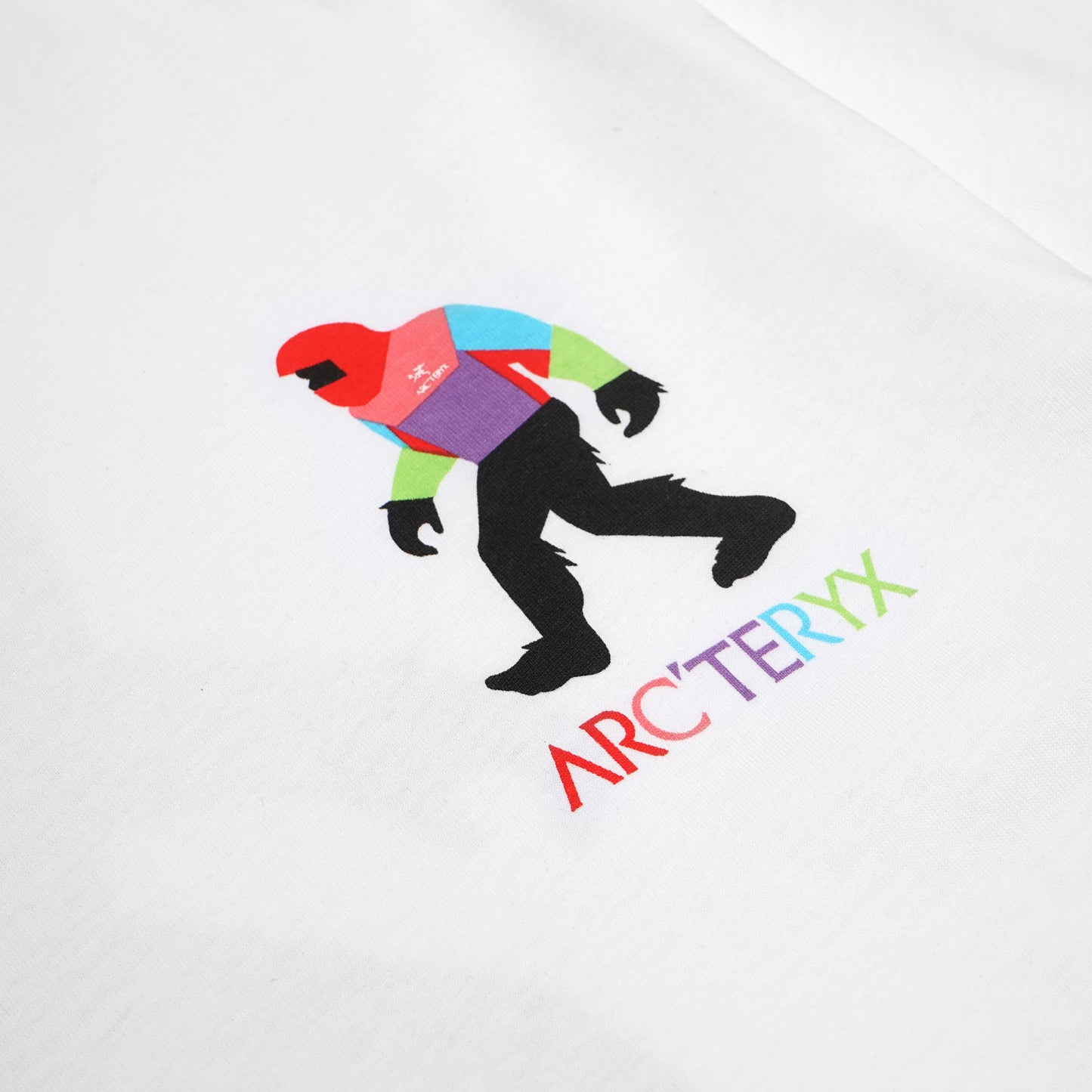 Arcteryx X Bigfoot Alpha T-Shirt