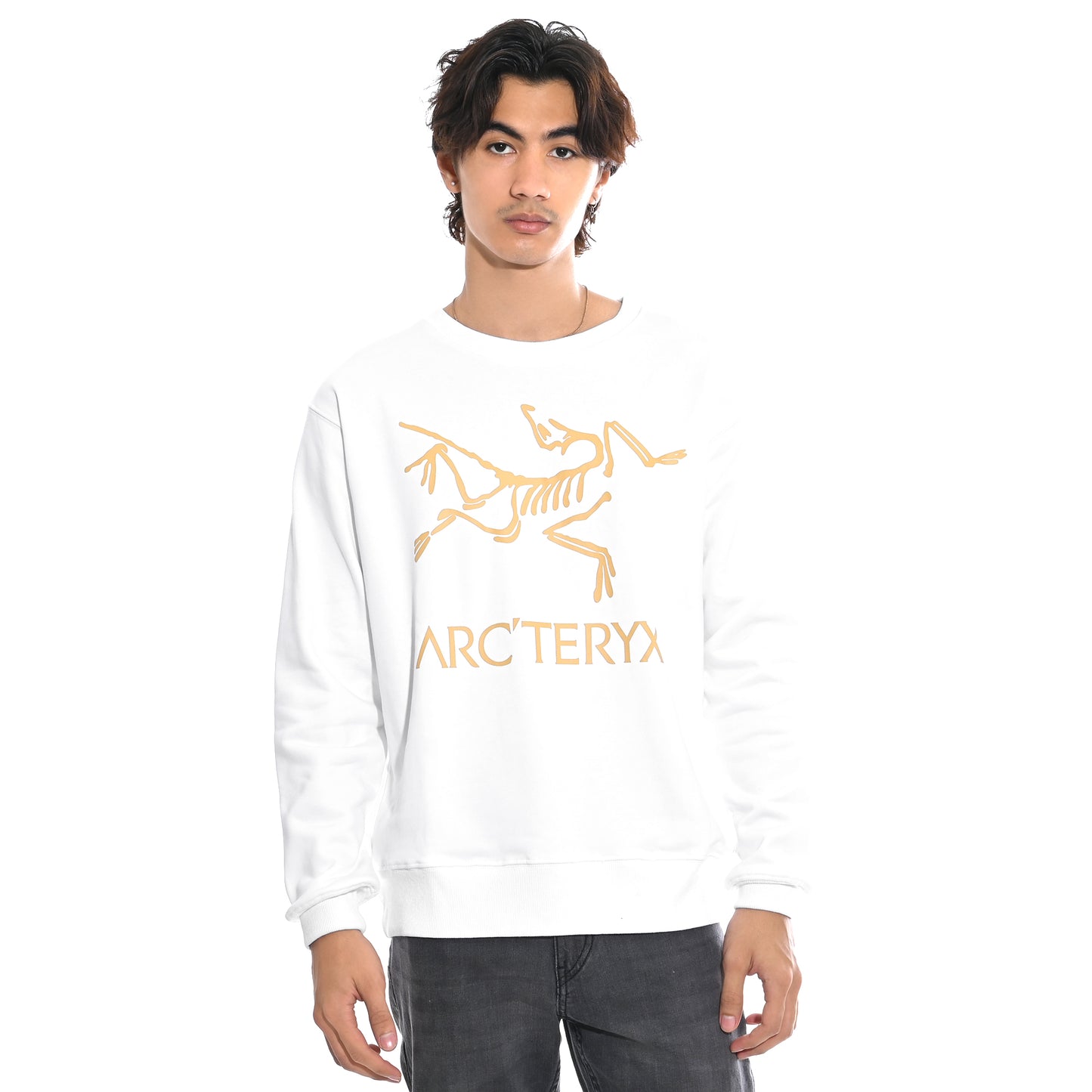 Arcteryx Golden Bird Crewneck Sweatshirt
