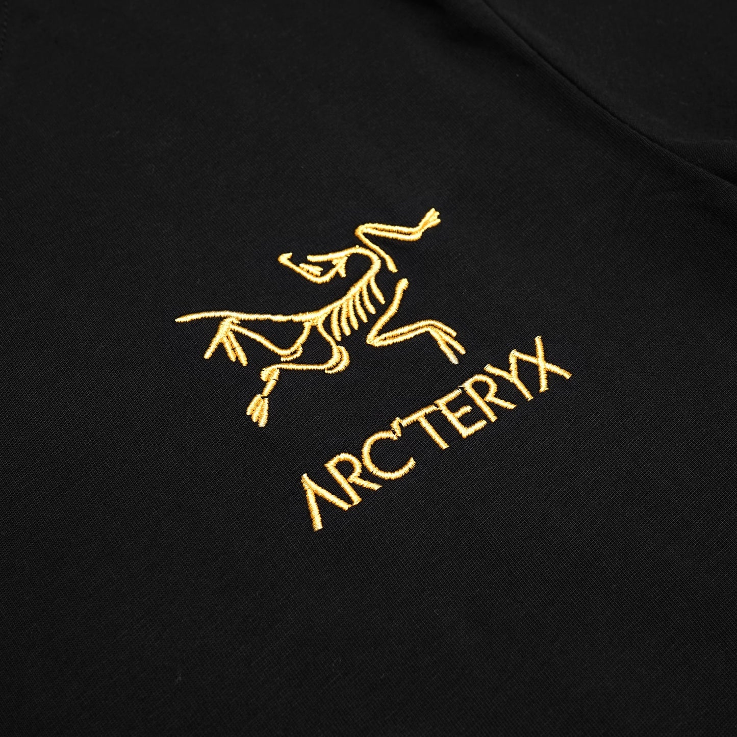 Arcteryx Stripes Sleeve T-Shirt