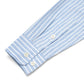 ANF Striped Oxford Long Sleeve Shirt