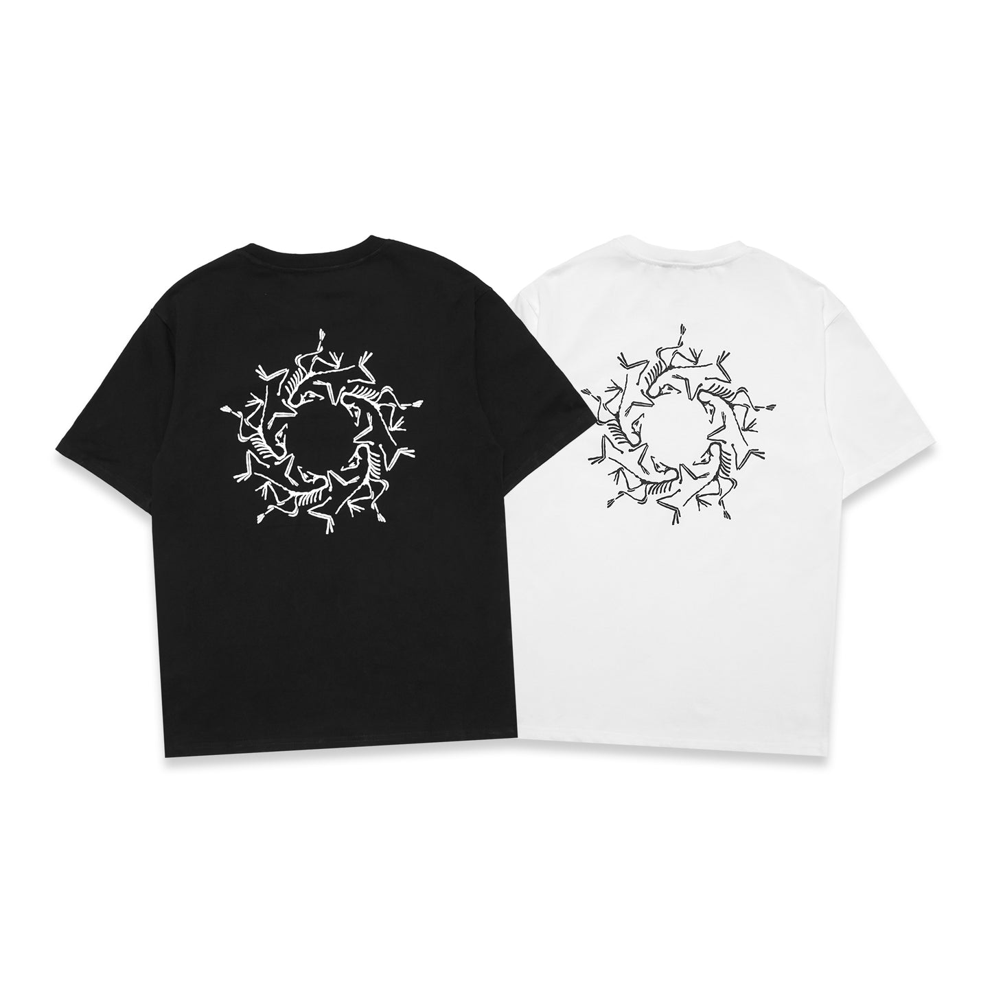 Arcteryx Solarium Graphic T-Shirt