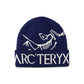 Arcteryx Bird Word Toque Beanie Hat