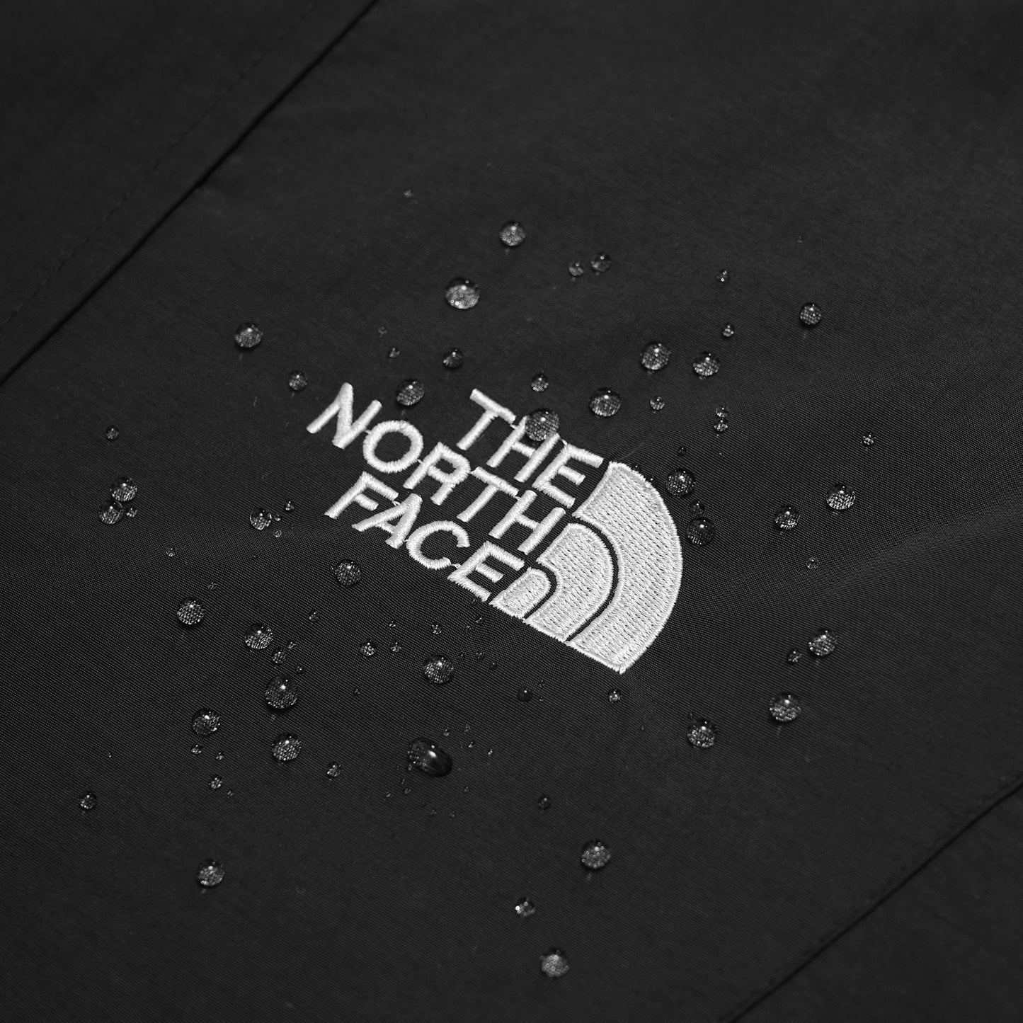 TNF Summit Series Logo Hooded Jacket