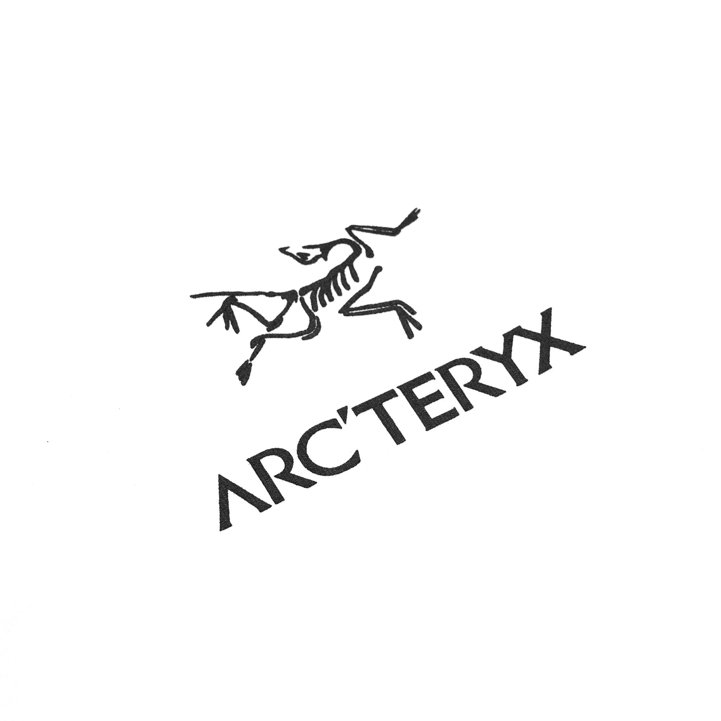 Arcteryx Backcountry Academy Logo T-Shirt