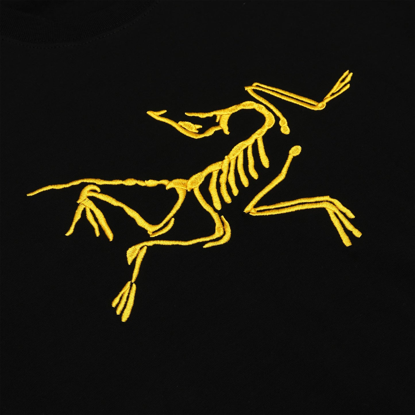 Arcteryx X PLC Graphic T-Shirt