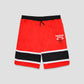 NBA Chicago Bulls Basketball Shorts