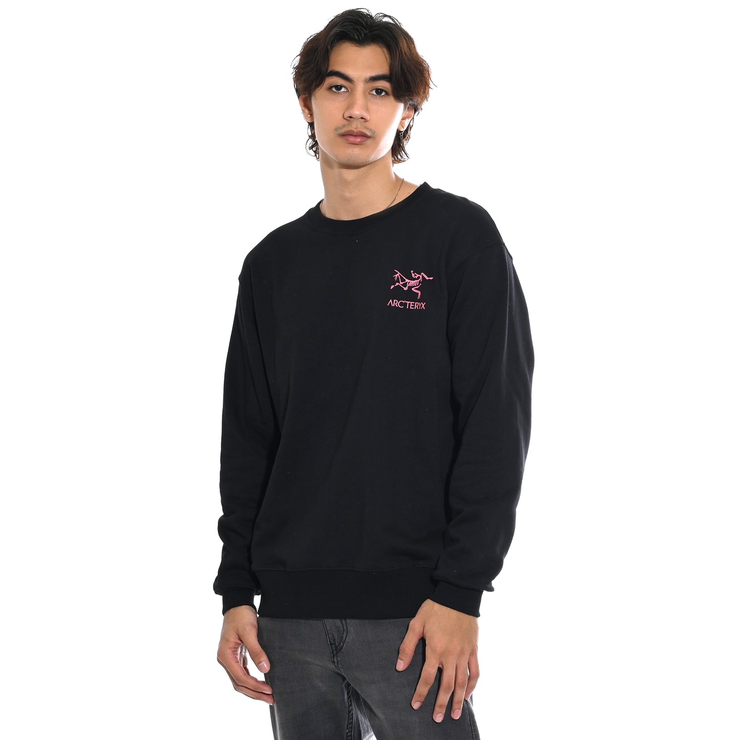 Arcteryx Back Logo Crewneck Sweatshirt