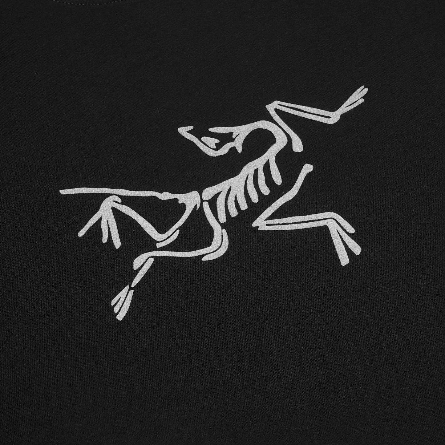 Arcteryx Silver Logo T-Shirt