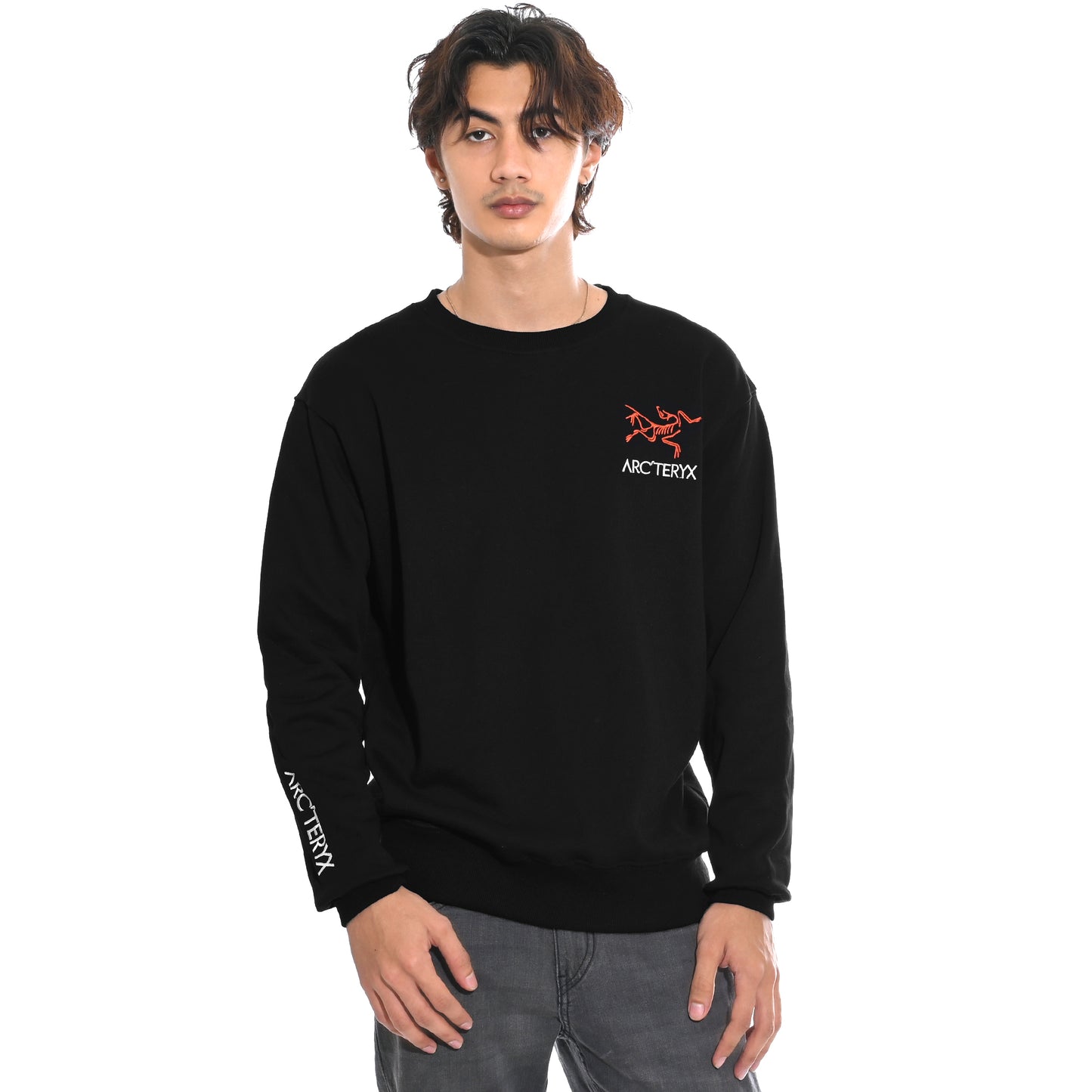 Arcteryx Arm Embroidery Crewneck Sweatshirt