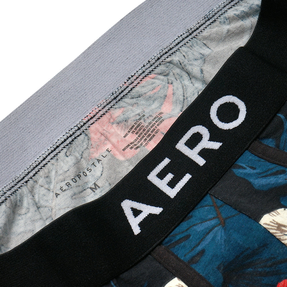 Aeropostale Logo Knit Trunk